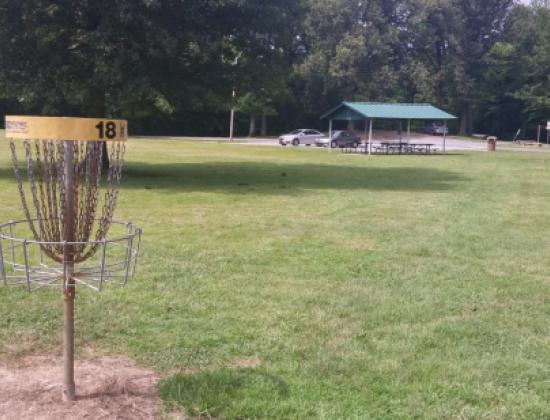disc golf course basket